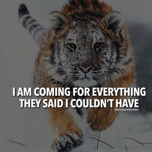 Meet your Posher, Imran